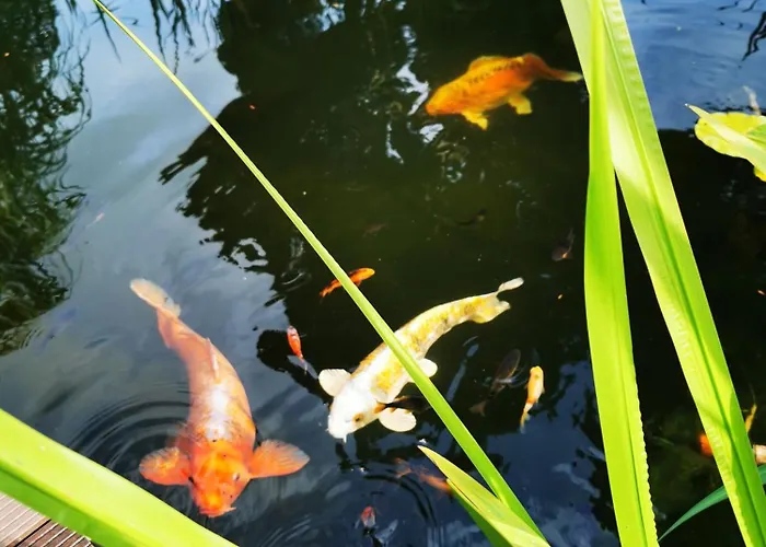 Mit Mediterraner Terrasse *